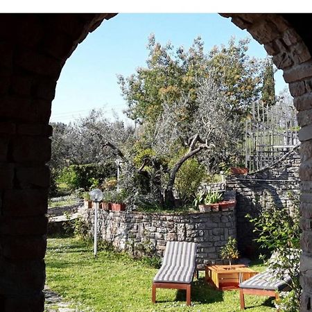 Bed and Breakfast La collina degli olivi Carmignano Esterno foto