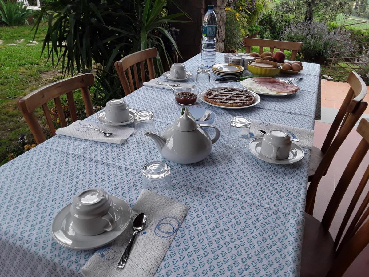 Bed and Breakfast La collina degli olivi Carmignano Esterno foto