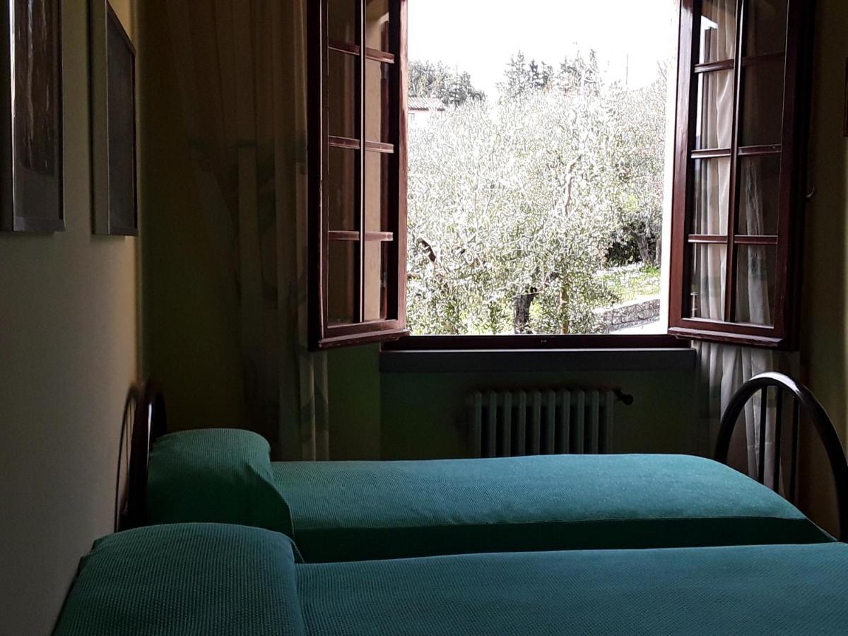 Bed and Breakfast La collina degli olivi Carmignano Esterno foto