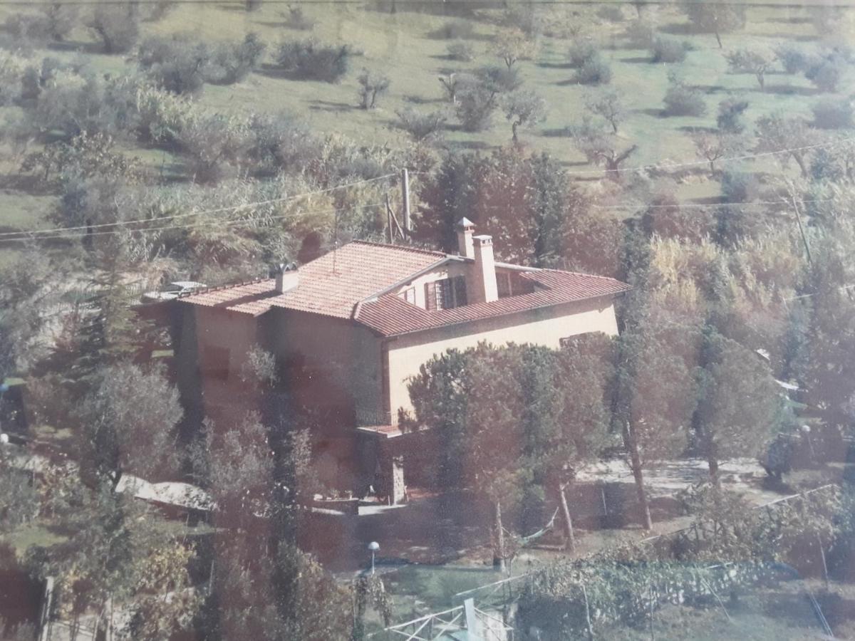 Bed and Breakfast La collina degli olivi Carmignano Esterno foto