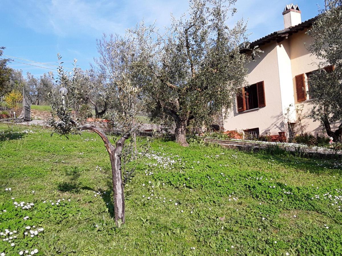 Bed and Breakfast La collina degli olivi Carmignano Esterno foto