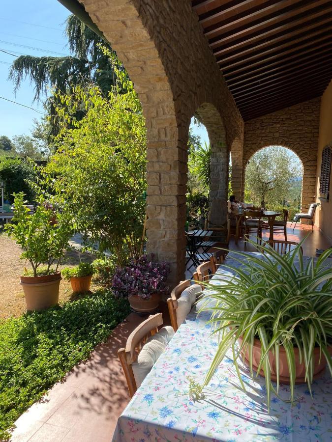 Bed and Breakfast La collina degli olivi Carmignano Esterno foto